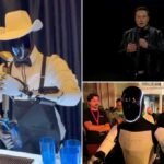 Here's where Elon Musk walks, talking Optimus robots could come to your home, experts say