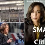NY Times accused of 'lying' about Kamala Harris plagiarism allegations to downplay scandal
