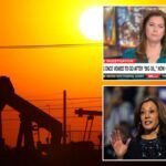CNN's Erin Burnett says Kamala Harris has taken a 'very sharp turn' in her stance on Big Oil