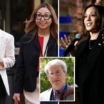 Exclusive | Karen Dunn, other Google lawyers host Kamala Harris fundraiser amid DOJ antitrust fight