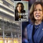NYT plagiarism consultant admits Kamala Harris scandal 'more serious' than she thought